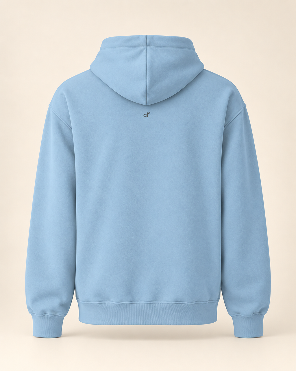 Hoodie biber — Appenzell Rhodes-Extérieures — carolina-blue — vue dos sans mannequin