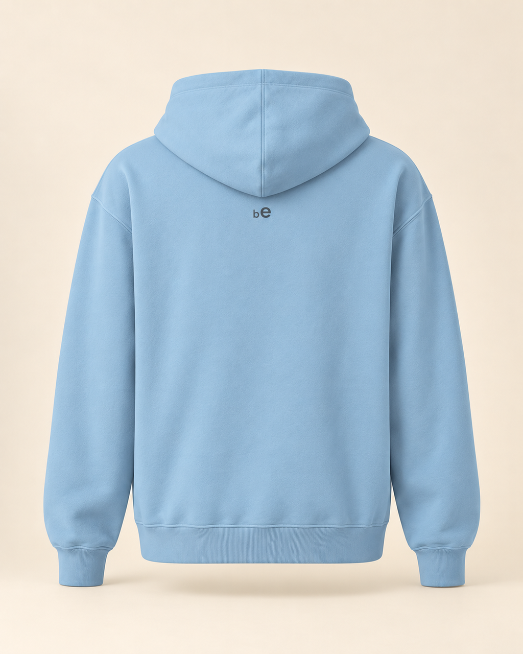 Hoodie rösti — Berne — carolina-blue — vue dos sans mannequin