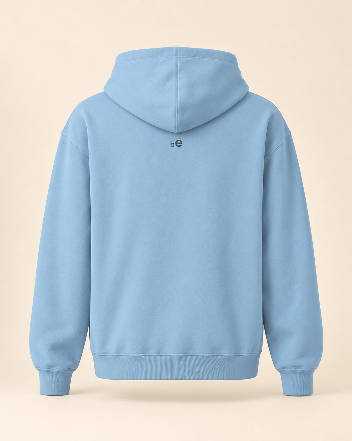 Hoodie rösti — Berne — carolina-blue — vue dos sans mannequin