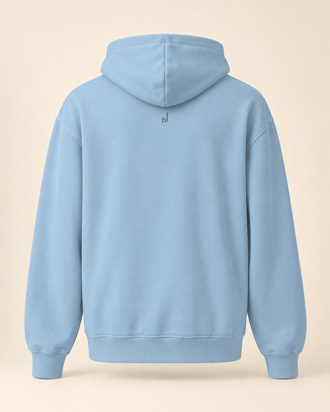 Hoodie chriesi — Bâle-Campagne — carolina-blue — vue dos sans mannequin