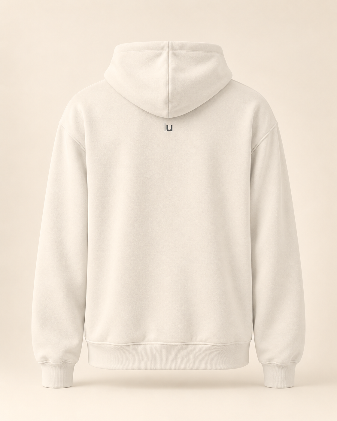 Hoodie birnenweggen — Lucerne — bone — vue dos sans mannequin
