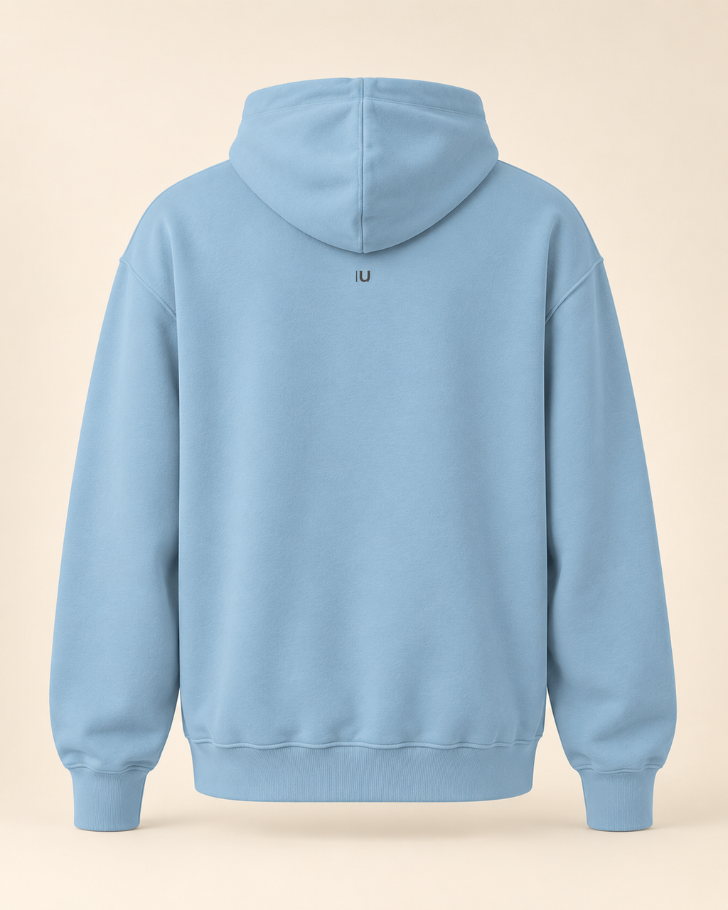 Hoodie birnenweggen — Lucerne — carolina-blue — vue dos sans mannequin