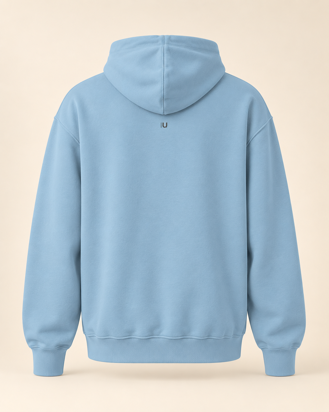 Hoodie birnenweggen — Lucerne — carolina-blue — vue dos sans mannequin