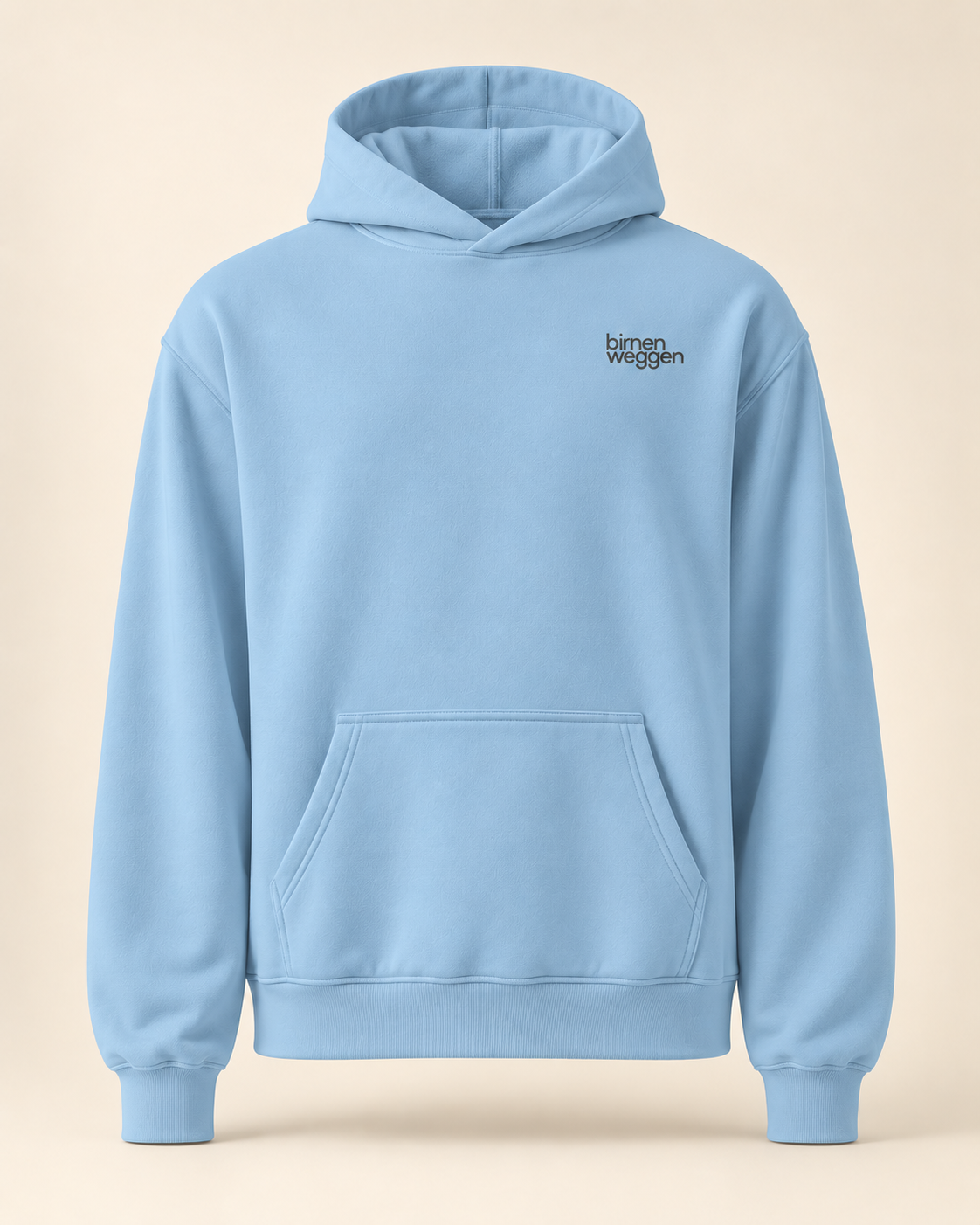 Hoodie birnenweggen — Lucerne — carolina-blue — vue face sans mannequin