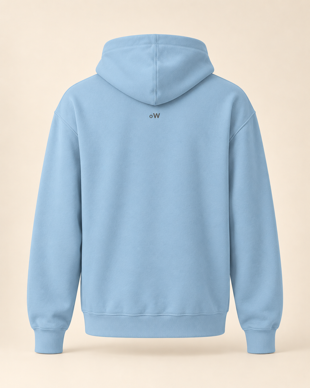 Hoodie bratchäs — Obwald — carolina-blue — vue dos sans mannequin