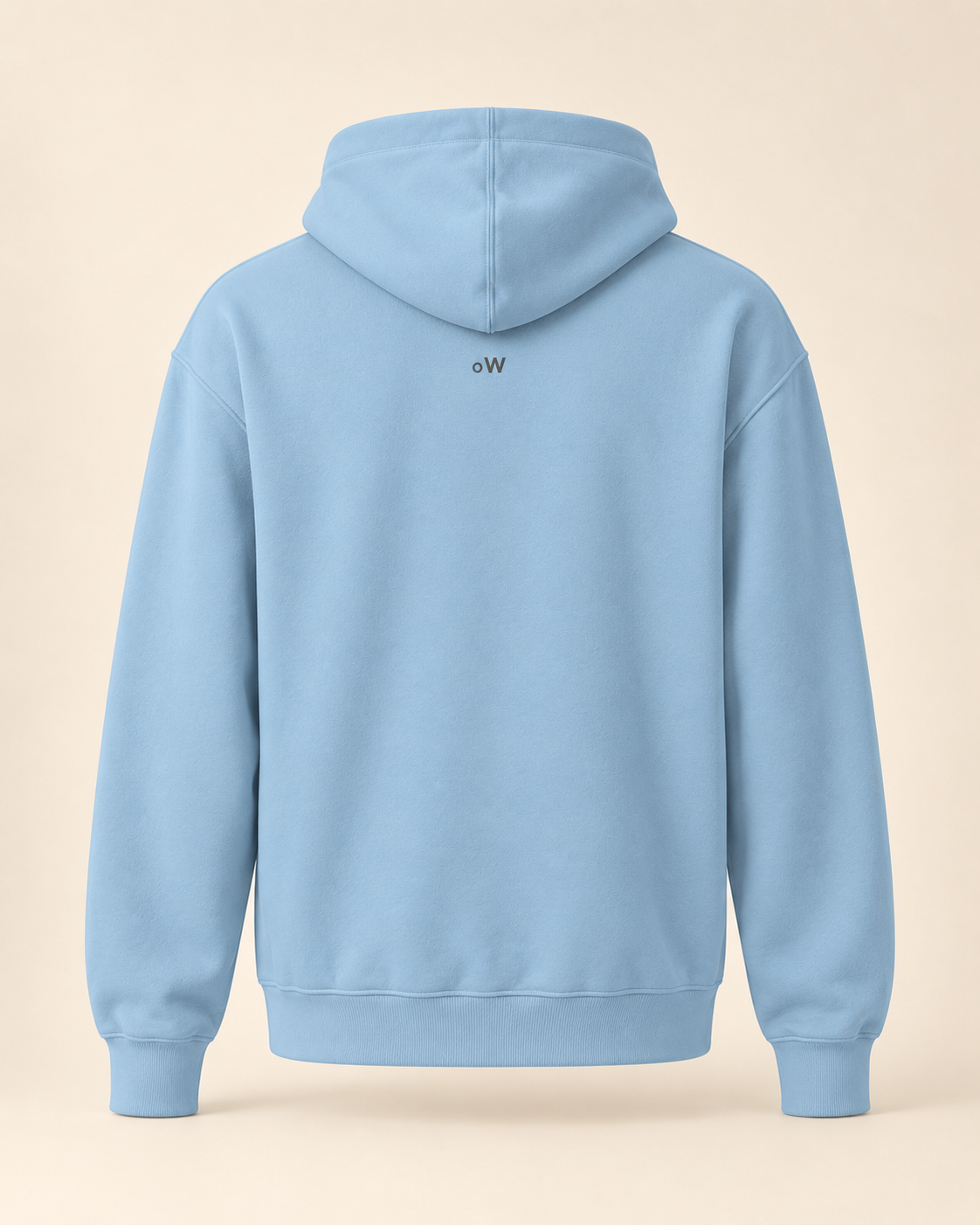 Hoodie bratchäs — Obwald — carolina-blue — vue dos sans mannequin