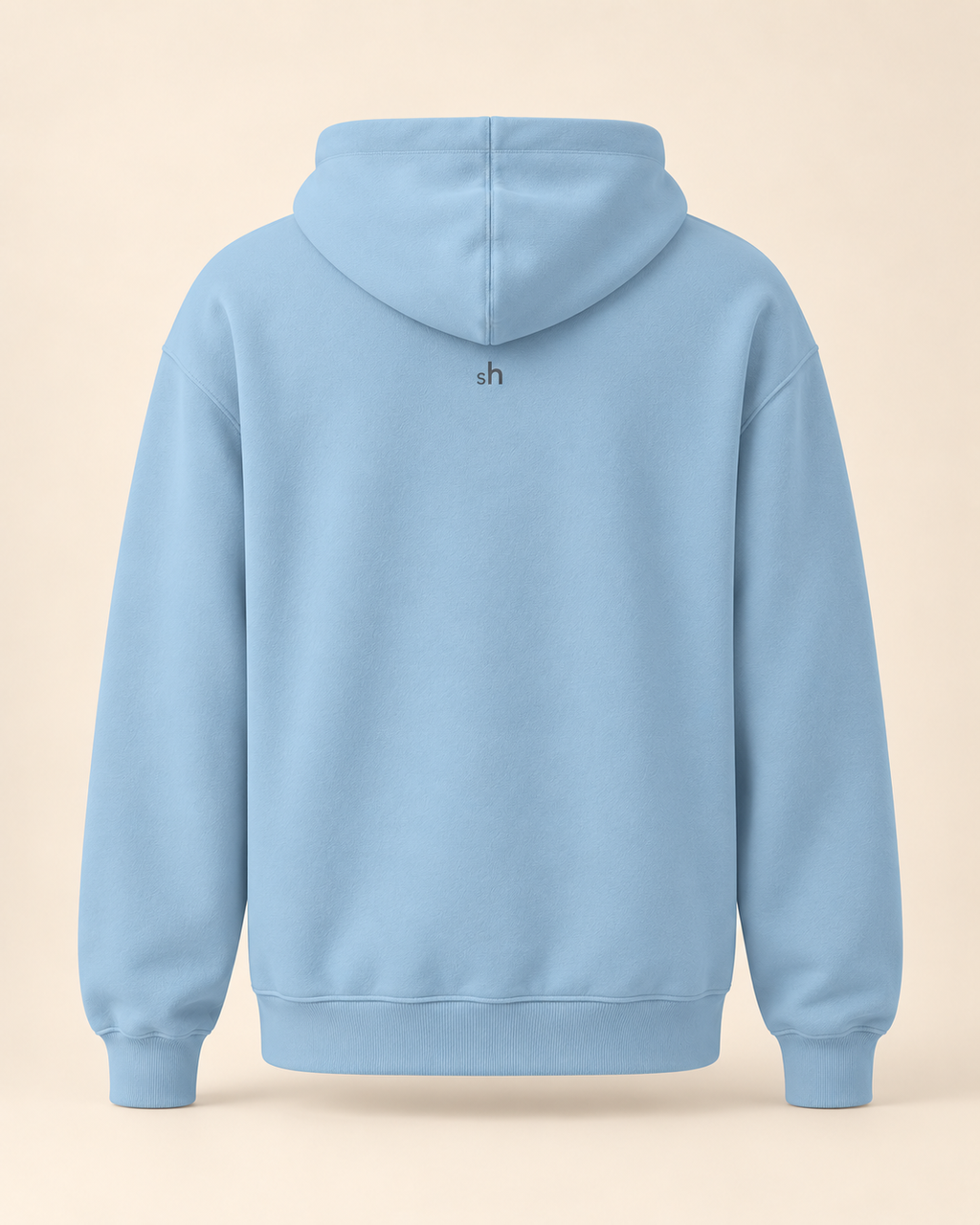 Hoodie schüblig — Schaffhouse — carolina-blue — vue dos sans mannequin
