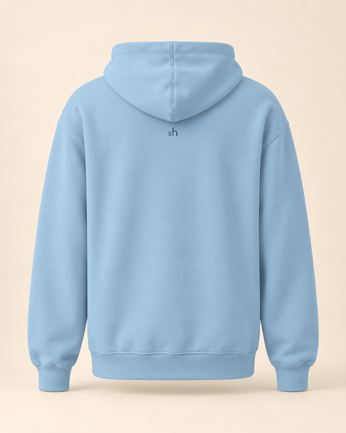 Hoodie schüblig — Schaffhouse — carolina-blue — vue dos sans mannequin