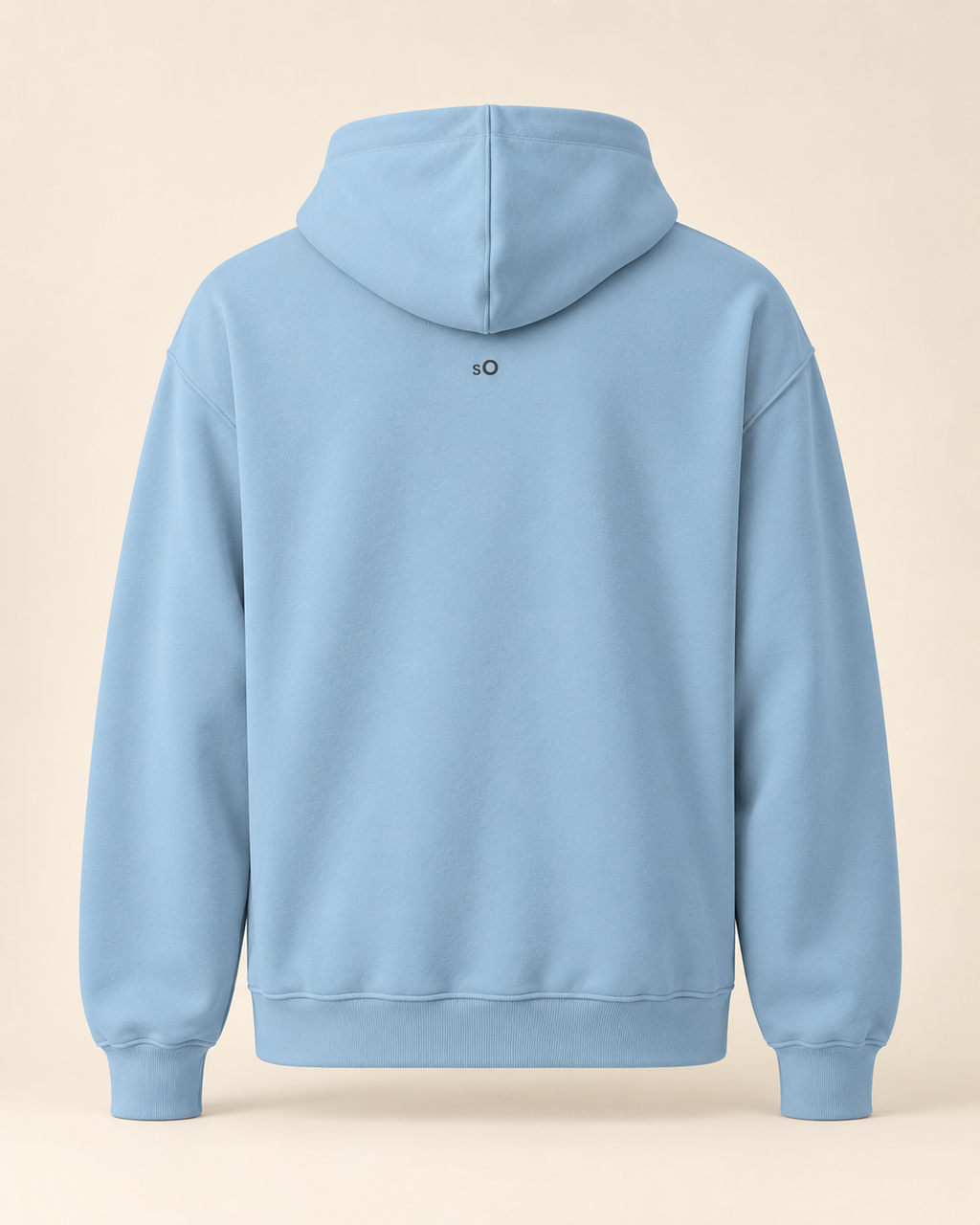 Hoodie torte — Soleure — carolina-blue — vue dos sans mannequin