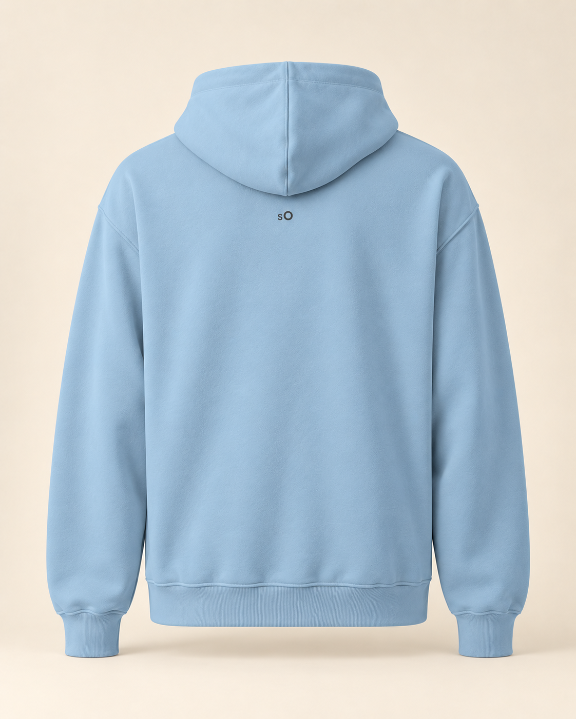 Hoodie torte — Soleure — carolina-blue — vue dos sans mannequin