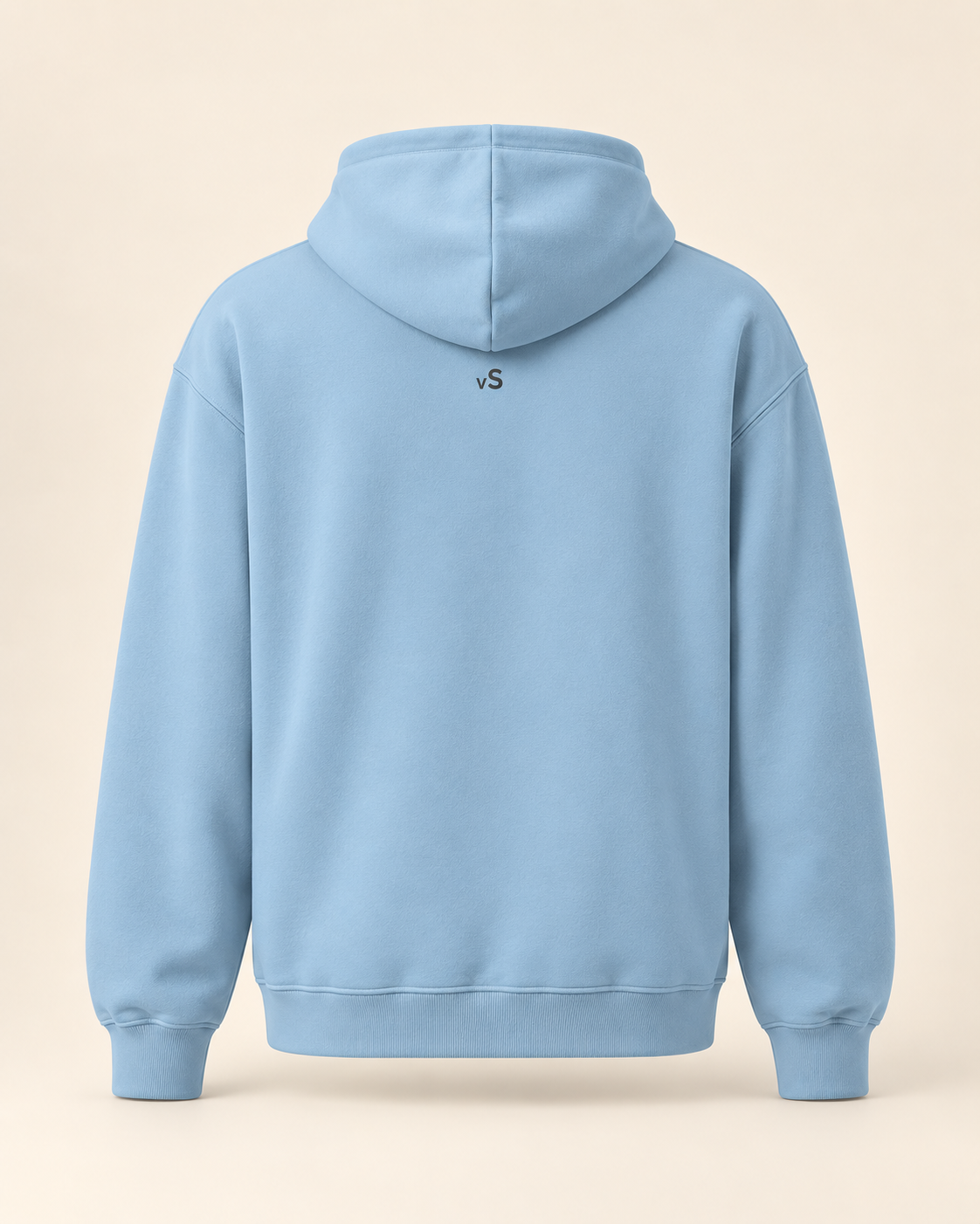 Hoodie raclette — Valais — carolina-blue — vue dos sans mannequin